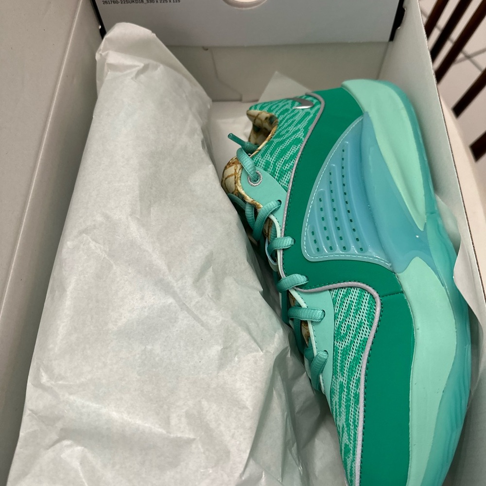 Brand New KD16
